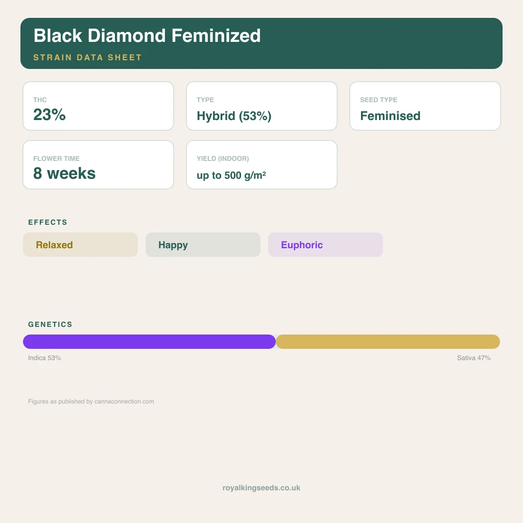 Black Diamond 53% indica / 47% sativa flower with visible trichomes