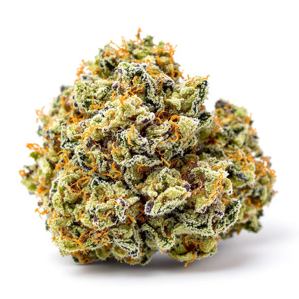 Black Diamond cannabis plant in flowering stage — 120-180 cm feminised
