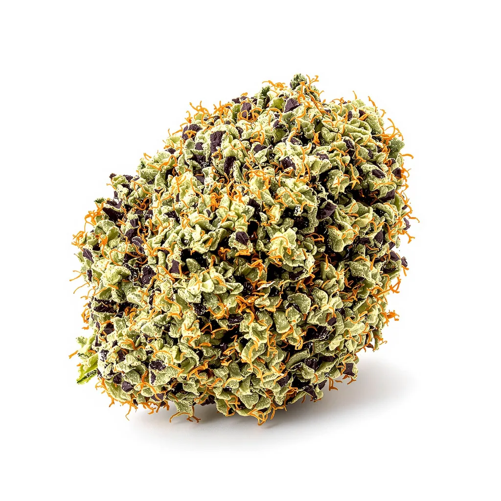 Black Ice cannabis plant in flowering stage — 90-130 cm feminised