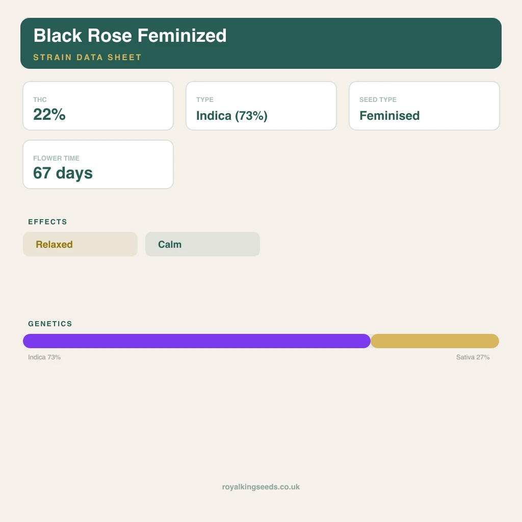Black Rose 73% indica / 27% sativa flower with visible trichomes