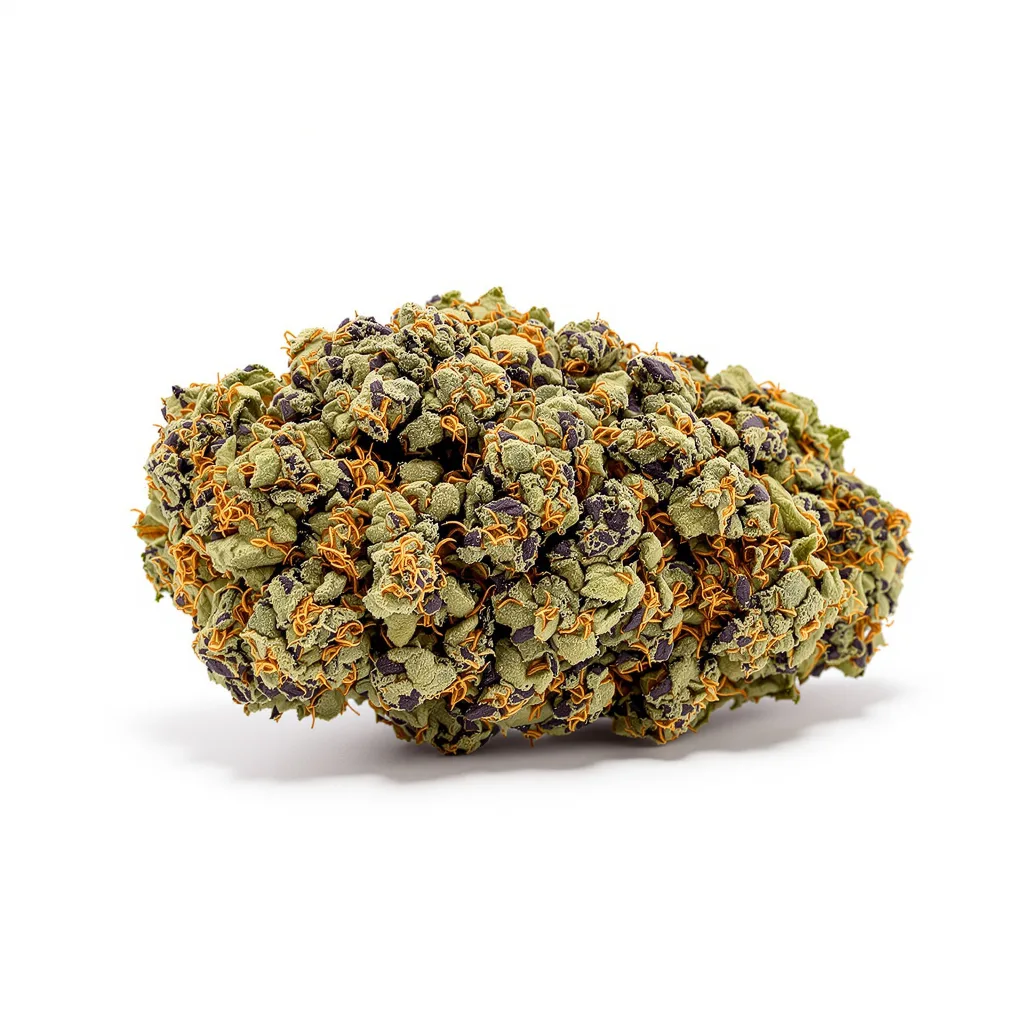 Blackberry Hashplant cannabis plant in flowering stage — 90-130 cm feminised