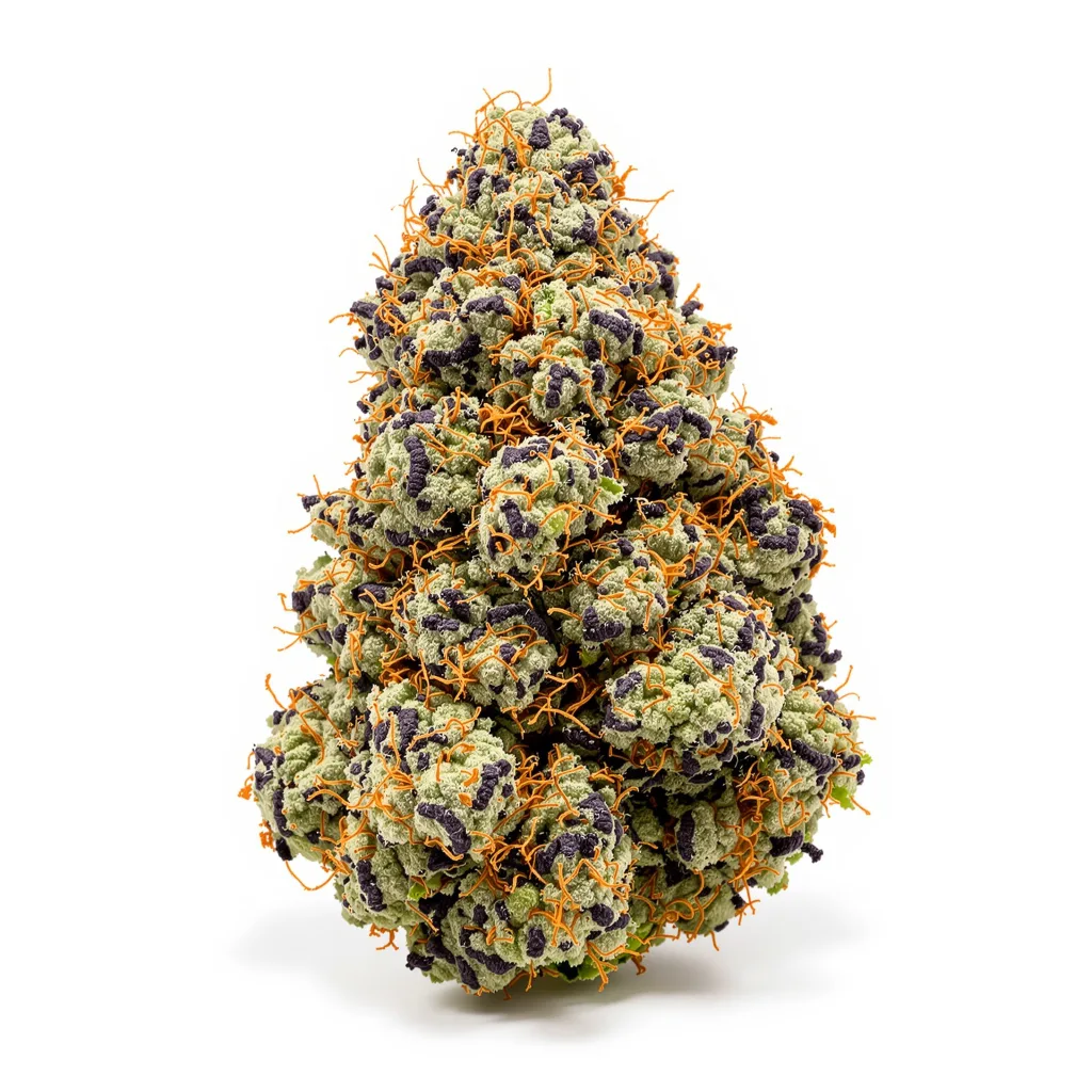 Blackberry Kush cannabis plant in flowering stage — 90-130 cm feminised