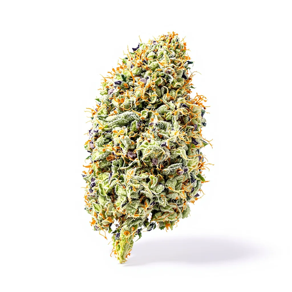 Blackberry Pie cannabis plant in flowering stage — 120-180 cm feminised