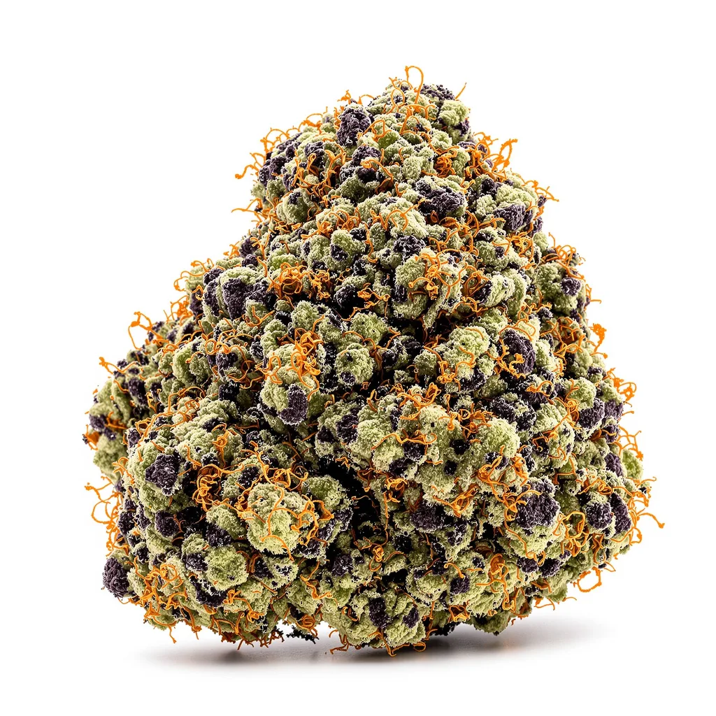 Blue Alien cannabis plant in flowering stage — 90-130 cm feminised