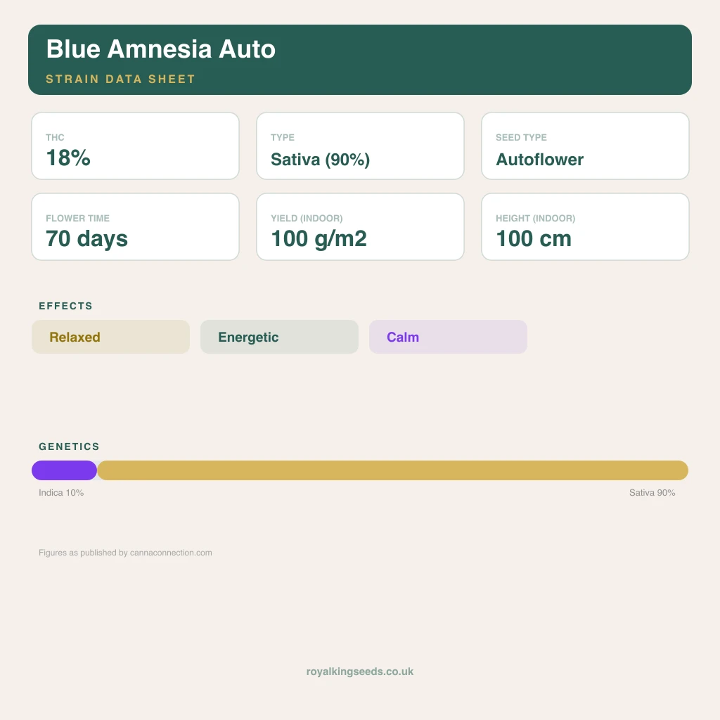Blue Amnesia 10% indica / 90% sativa flower with visible trichomes