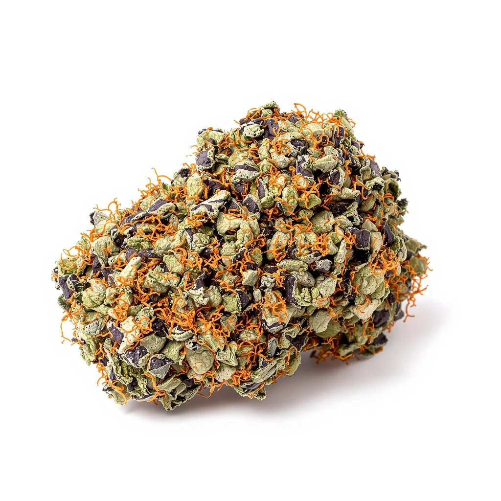 Blue Biscotti cannabis plant in flowering stage — 90-130 cm feminised