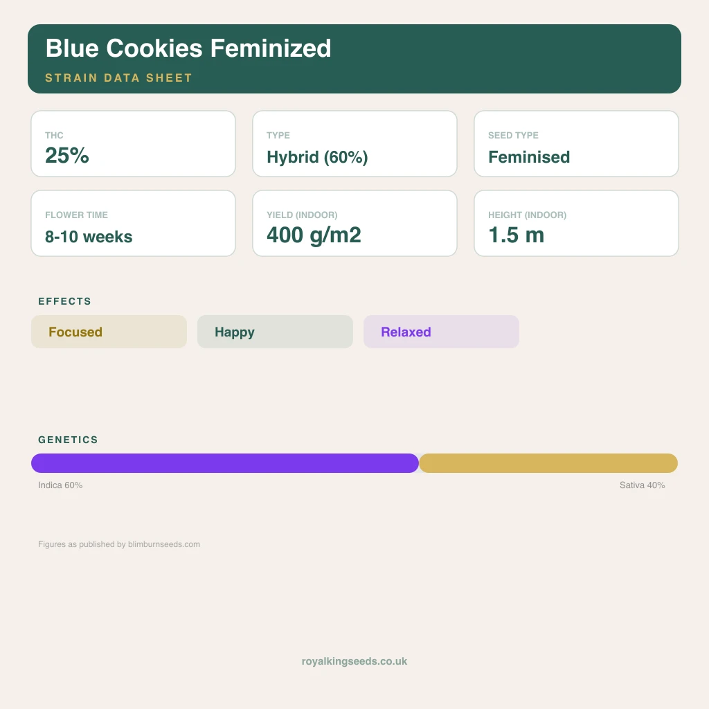 Blue Cookies 60% indica / 40% sativa flower with visible trichomes