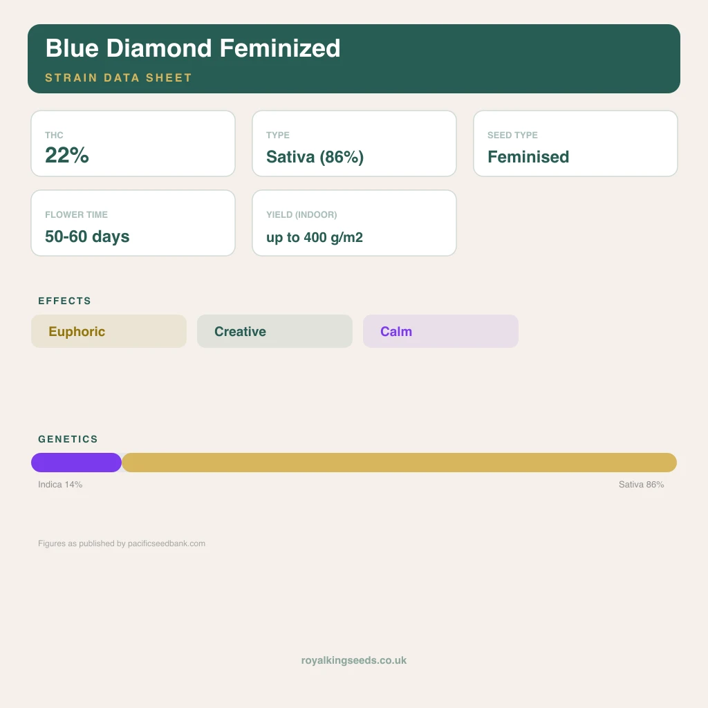 Blue Diamond 14% indica / 86% sativa flower with visible trichomes