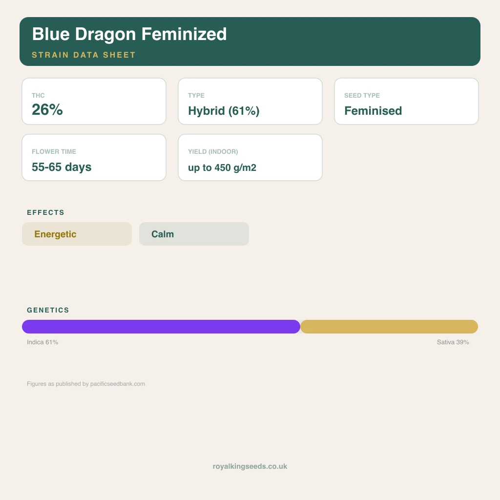 Blue Dragon 61% indica / 39% sativa flower with visible trichomes