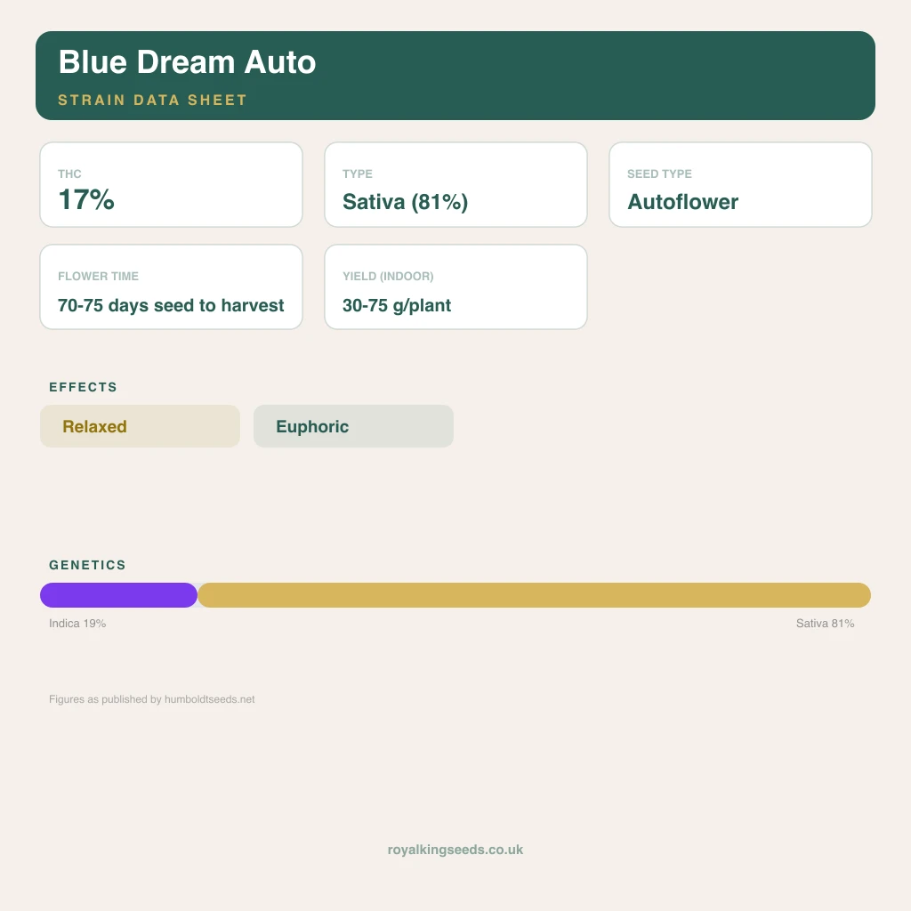 Blue Dream 19% indica / 81% sativa flower with visible trichomes