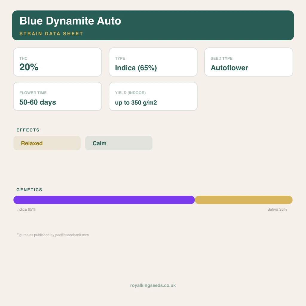 Blue Dynamite 65% indica / 35% sativa flower with visible trichomes