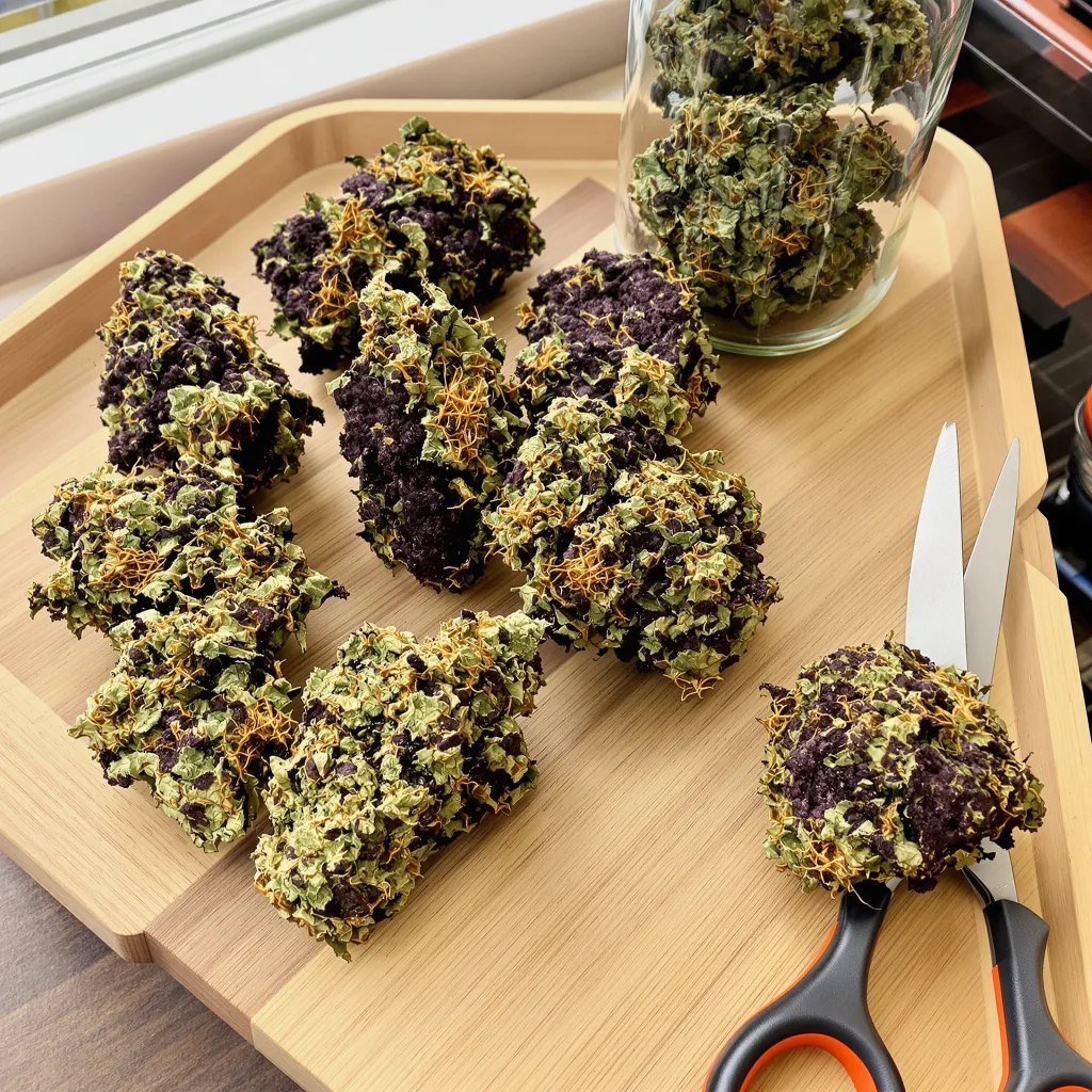 Blue Fruit 86% indica / 14% sativa flower with visible trichomes