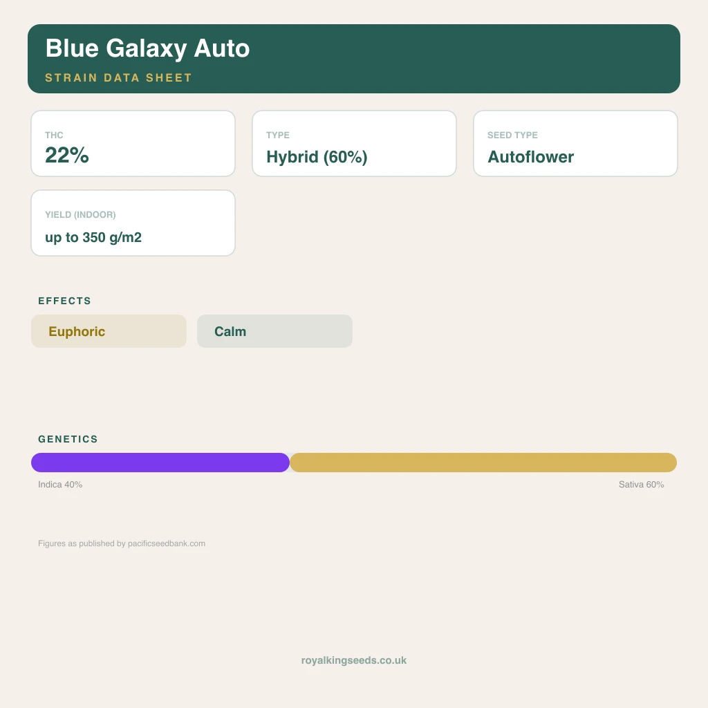 Blue Galaxy 40% indica / 60% sativa flower with visible trichomes