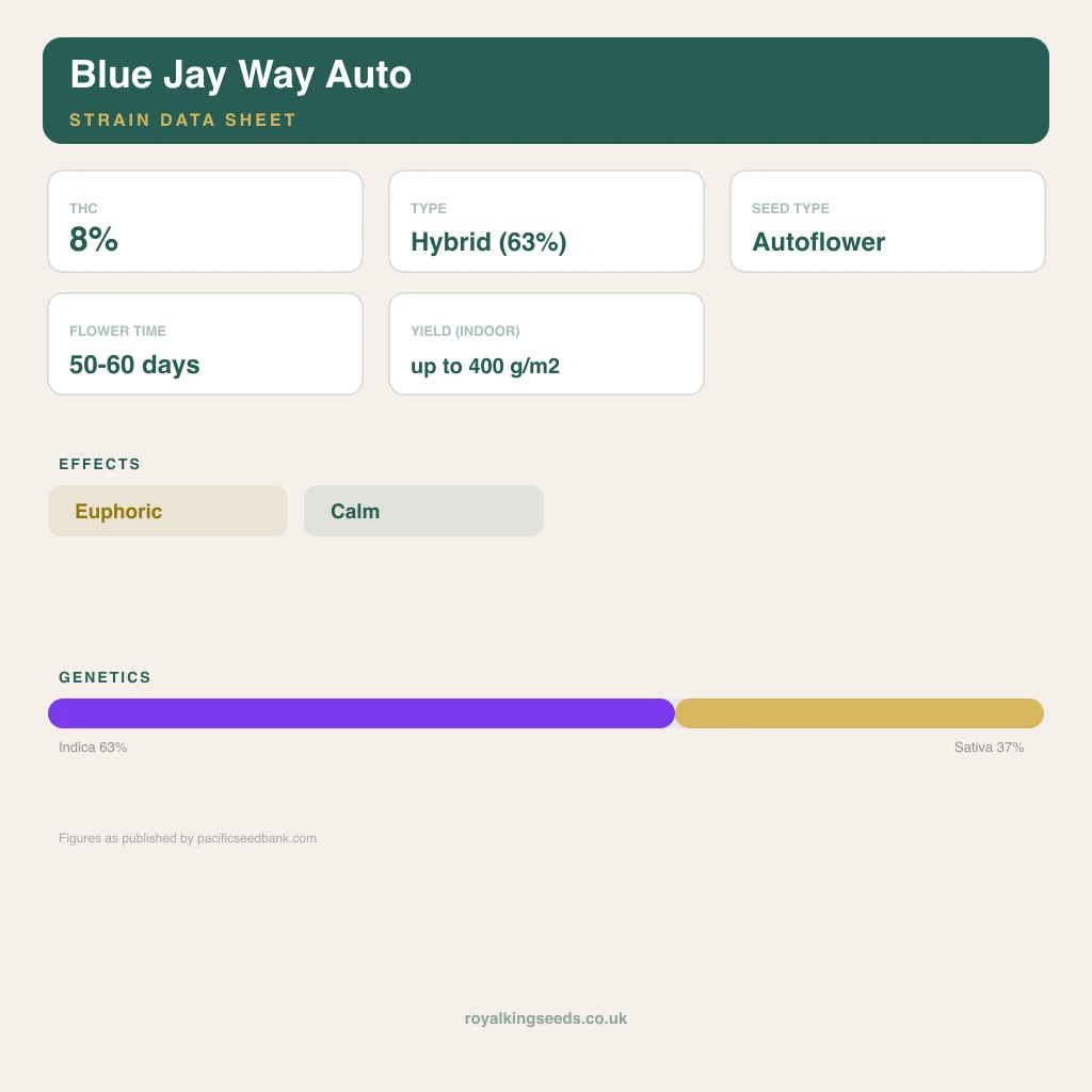 Blue Jay Way 63% indica / 37% sativa flower with visible trichomes