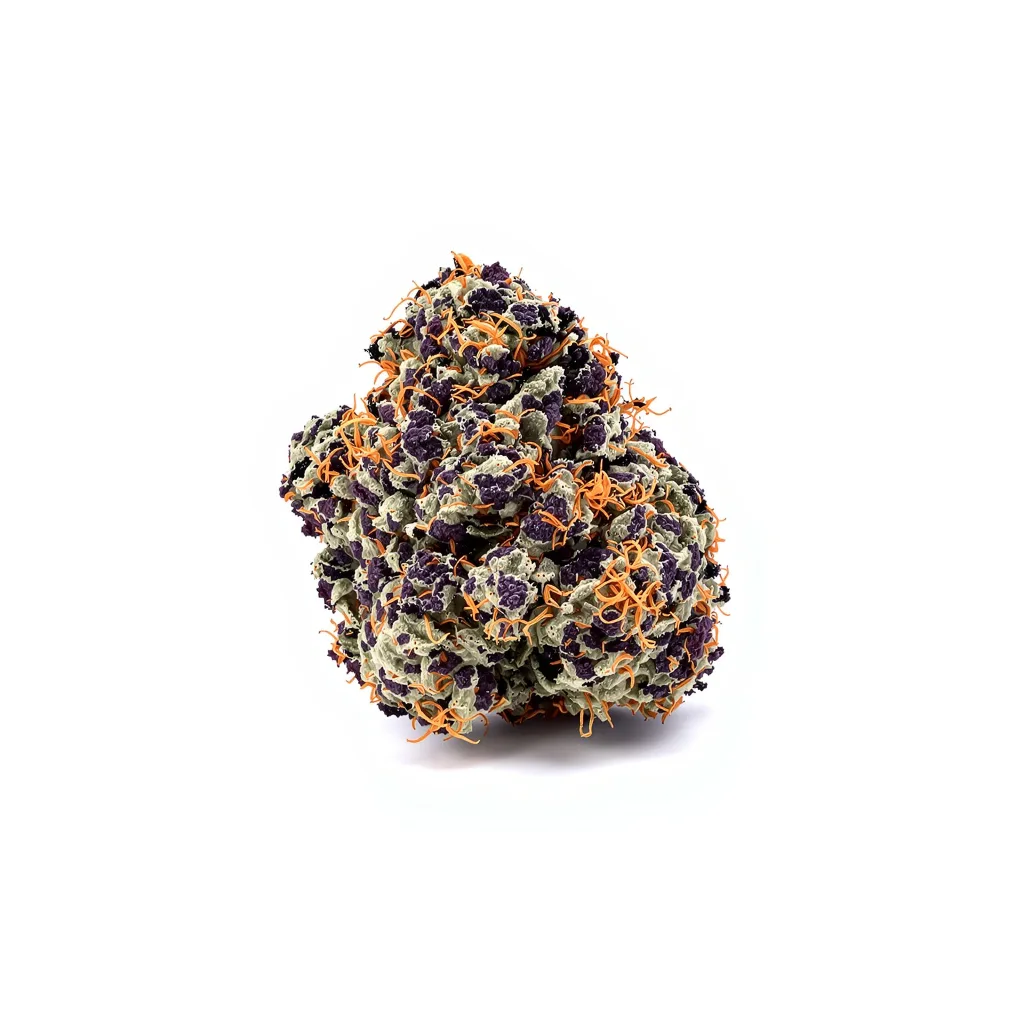 Blue Knight cannabis plant in flowering stage — 90-130 cm feminised