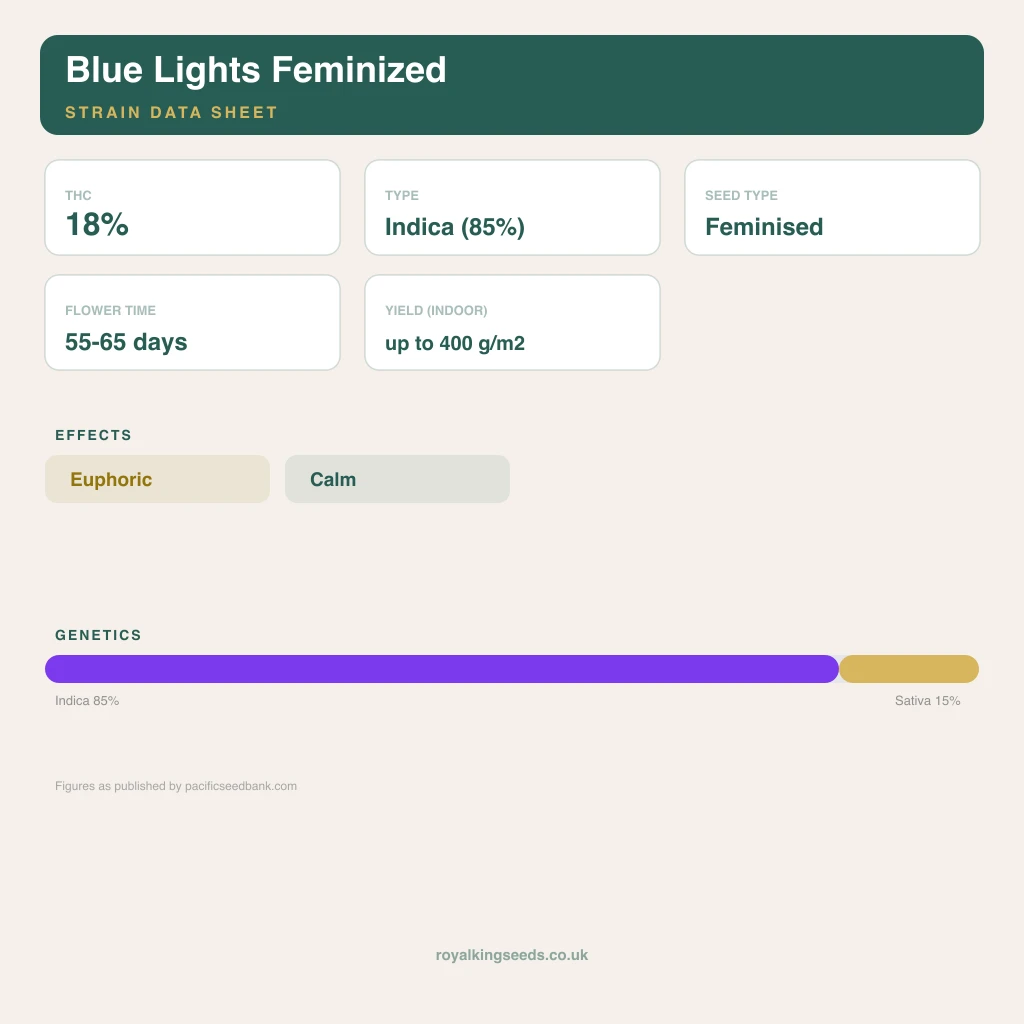 Blue Lights 85% indica / 15% sativa flower with visible trichomes