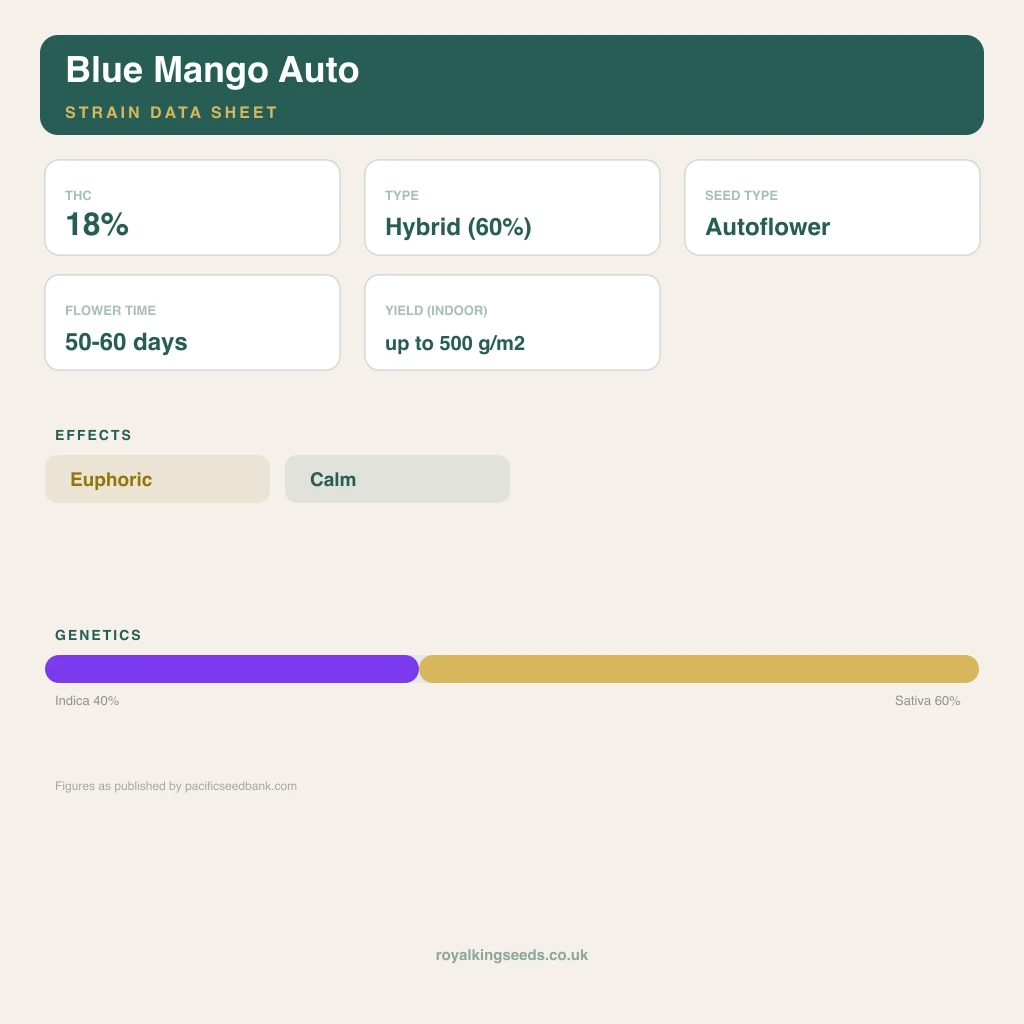 Blue Mango 40% indica / 60% sativa flower with visible trichomes