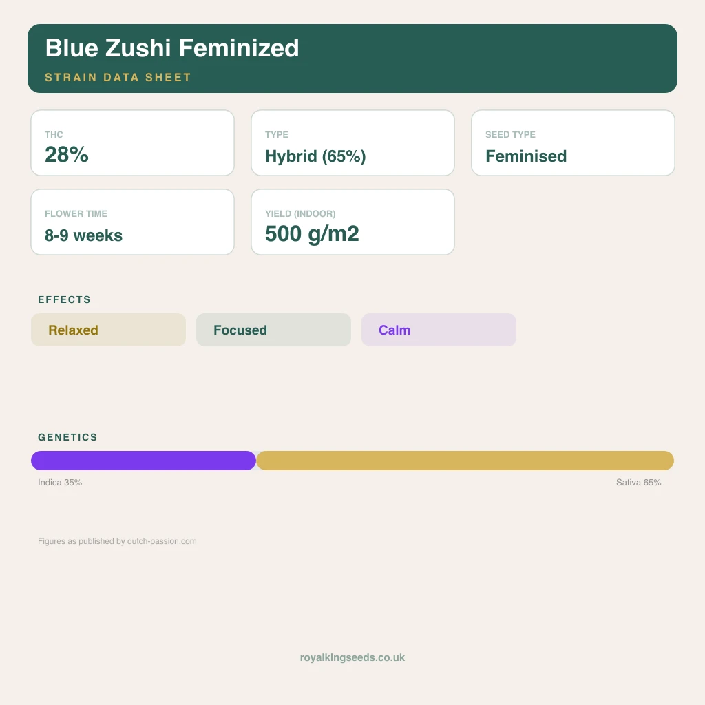 Blue Zushi 35% indica / 65% sativa flower with visible trichomes