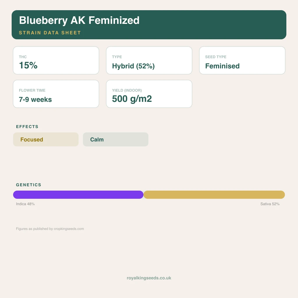 Blueberry AK 48% indica / 52% sativa flower with visible trichomes