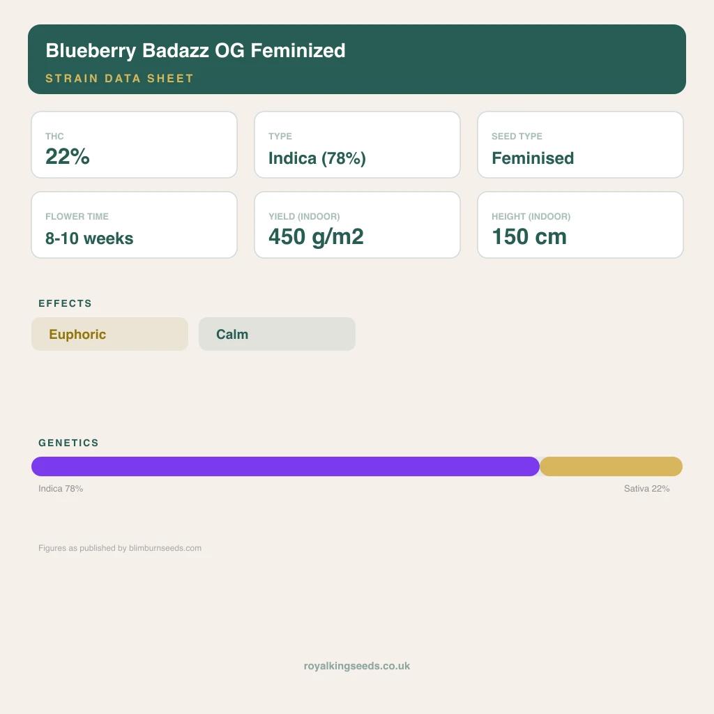 Blueberry Badazz OG 78% indica / 22% sativa flower with visible trichomes