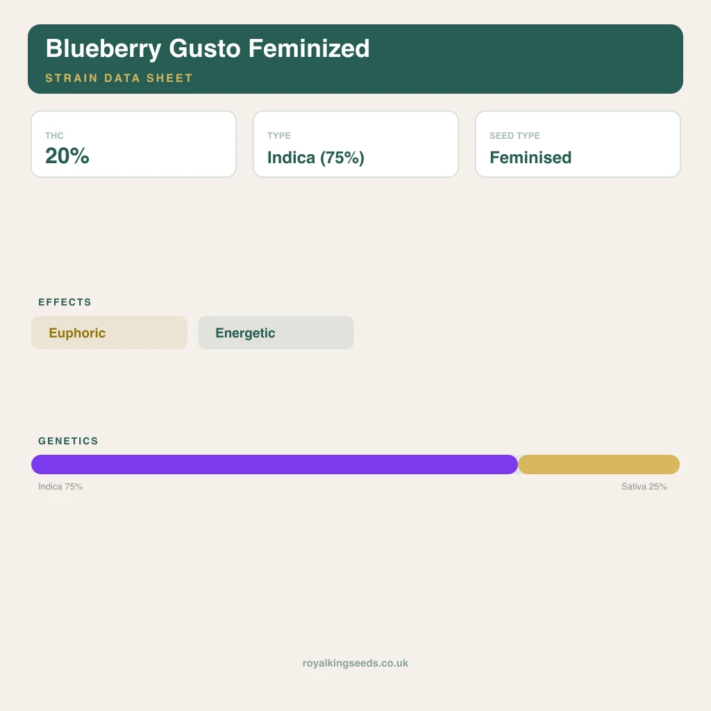 Blueberry Gusto 75% indica / 25% sativa flower with visible trichomes