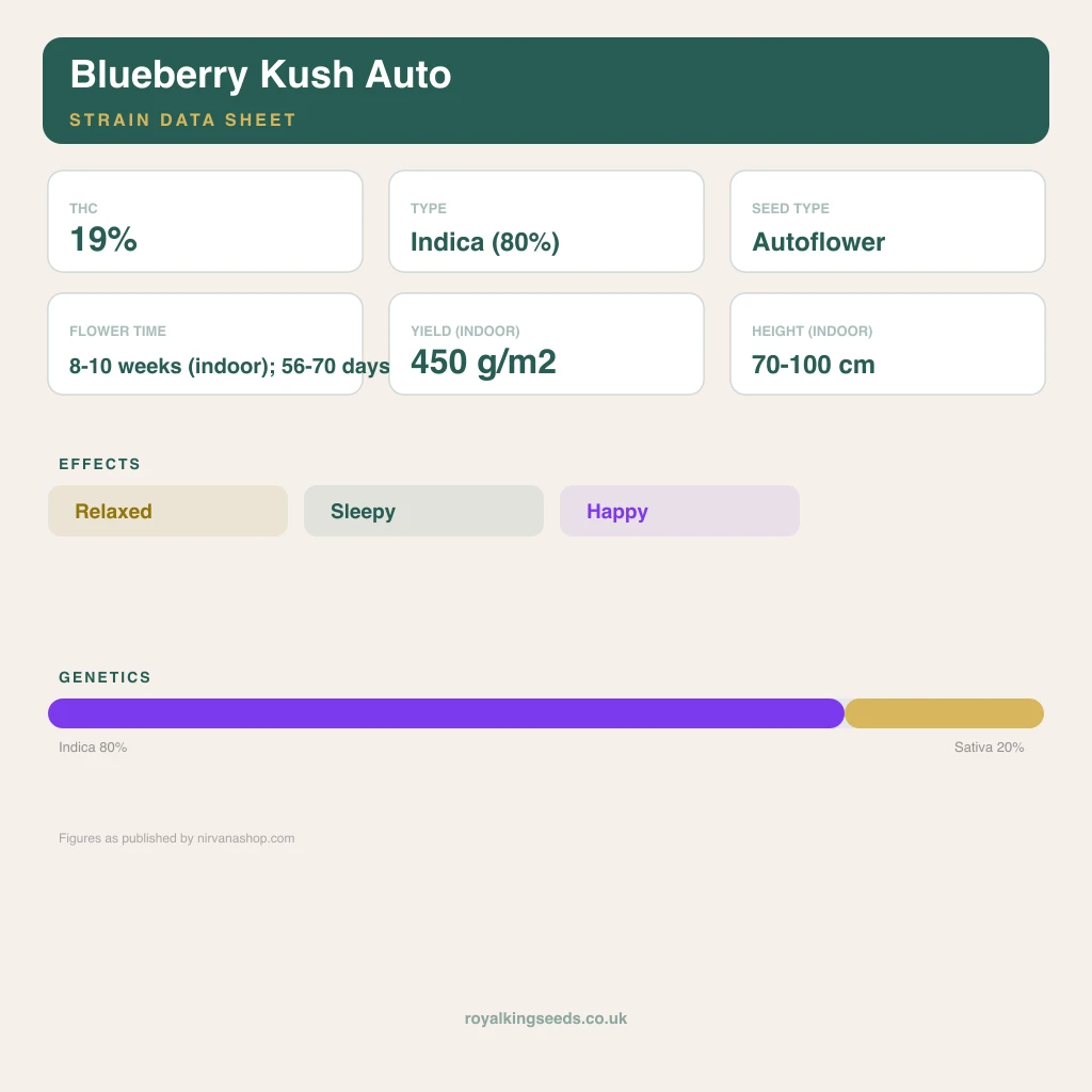 Blueberry Kush 80% indica / 20% sativa flower with visible trichomes
