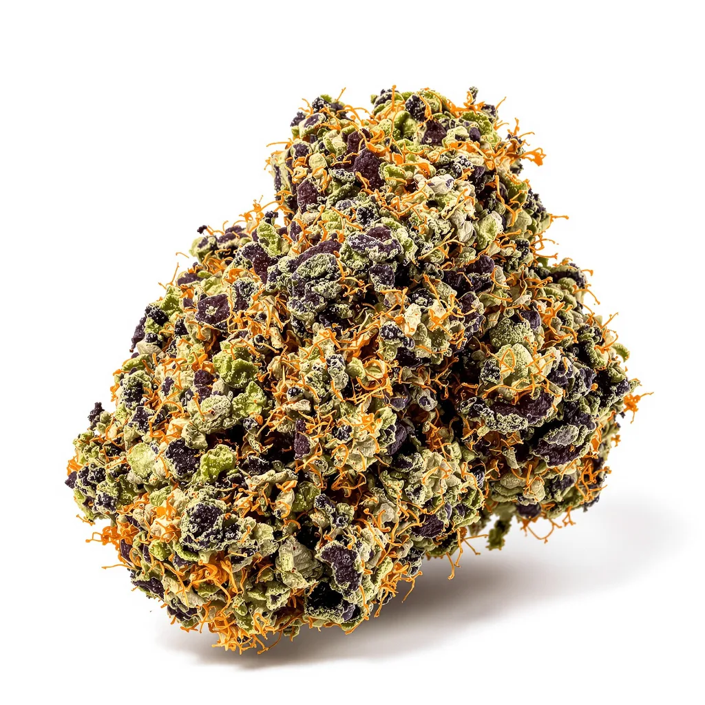 Blueberry Kush cannabis plant in flowering stage — 90-130 cm feminised
