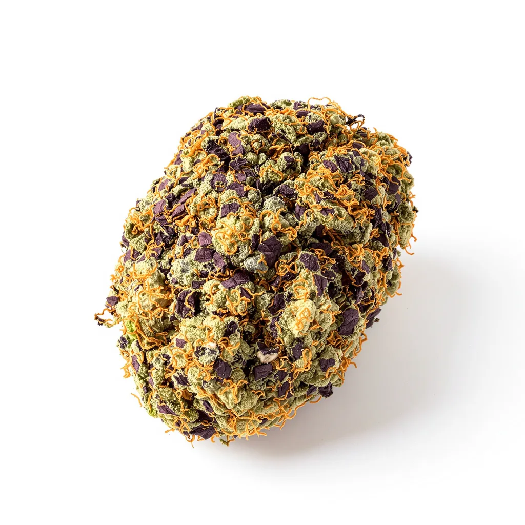 Blueberry Waltz cannabis plant in flowering stage — 90-130 cm feminised