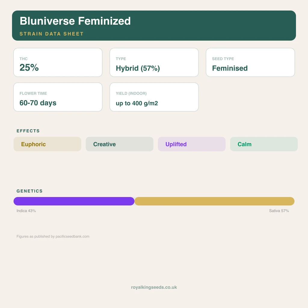 Bluniverse 43% indica / 57% sativa flower with visible trichomes