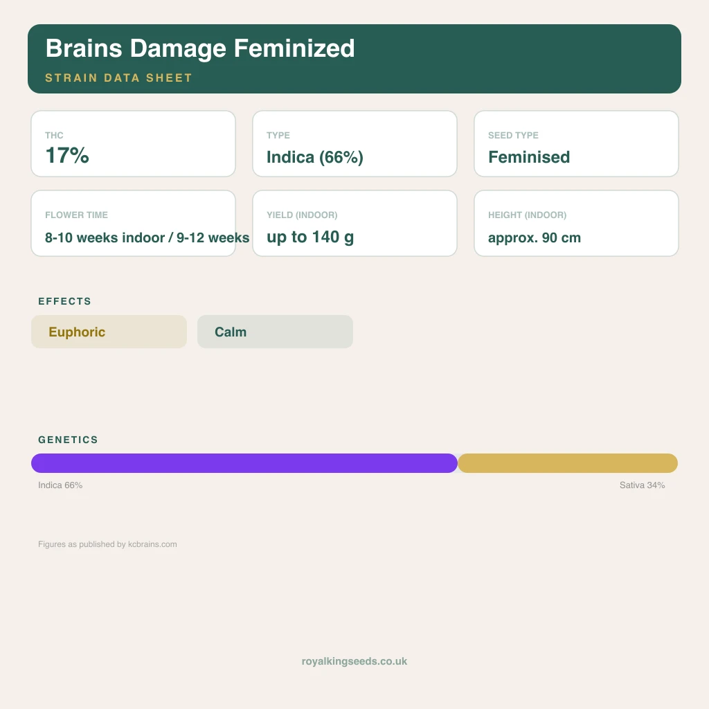 Brains Damage 66% indica / 34% sativa flower with visible trichomes