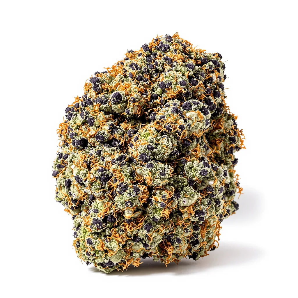 Brains Damage cannabis plant in flowering stage — 90-130 cm feminised
