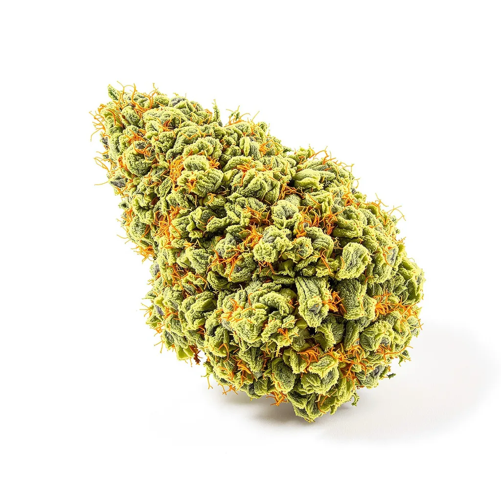 Bruce Banner #3 cannabis plant in flowering stage — 60-100 cm autoflower