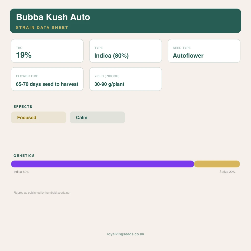 Bubba Kush 80% indica / 20% sativa flower with visible trichomes