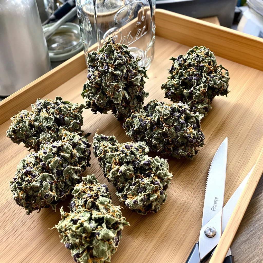 Bubba OG 80% indica / 20% sativa flower with visible trichomes