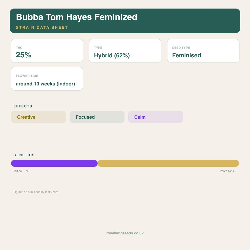 Bubba Tom Hayes 38% indica / 62% sativa flower with visible trichomes