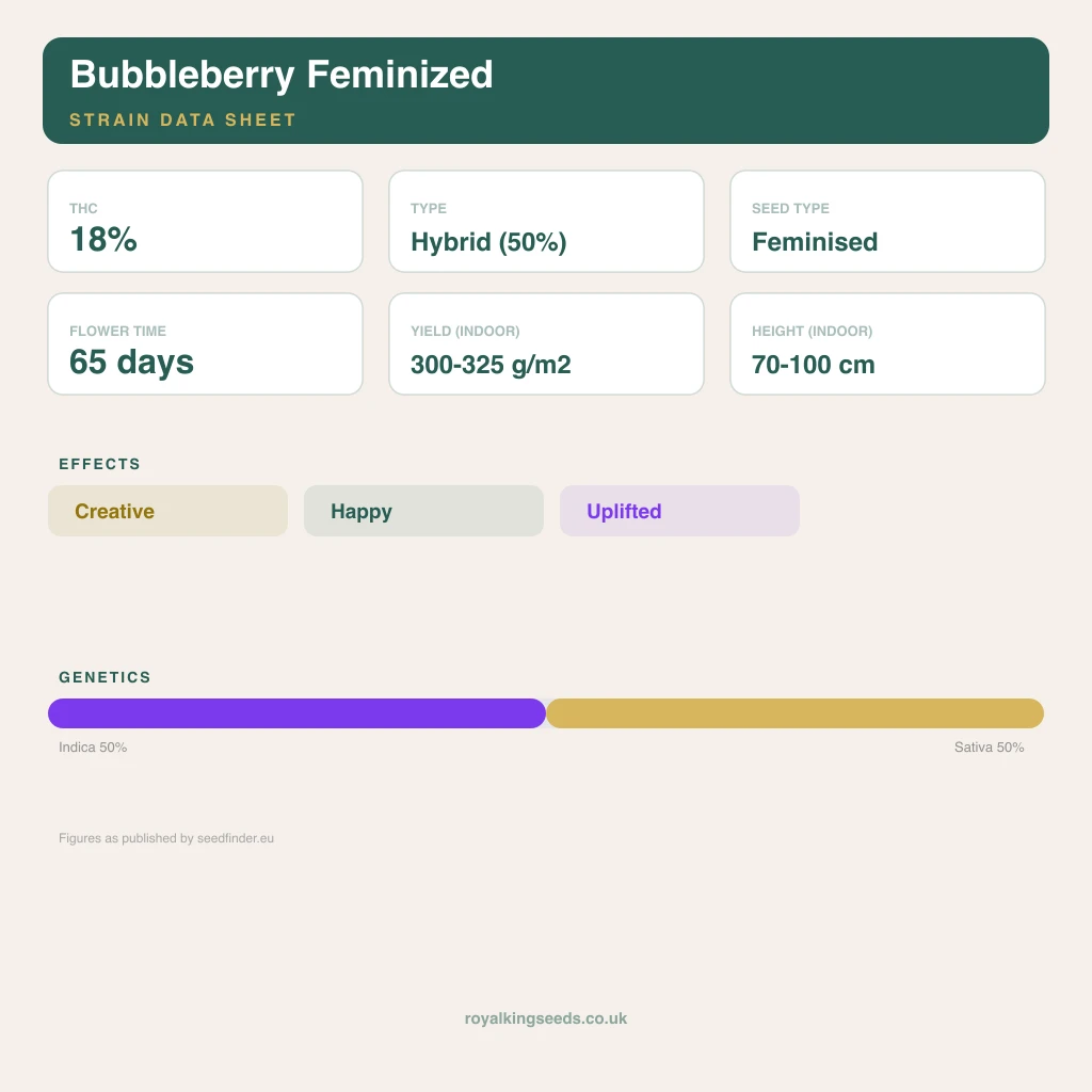 Bubbleberry 50% indica / 40% sativa flower with visible trichomes