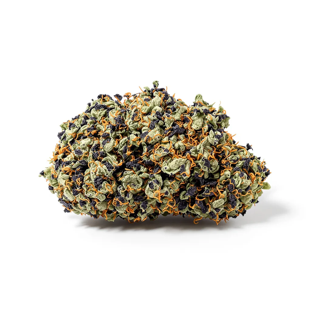Buddha Tahoe cannabis plant in flowering stage — 90-130 cm feminised