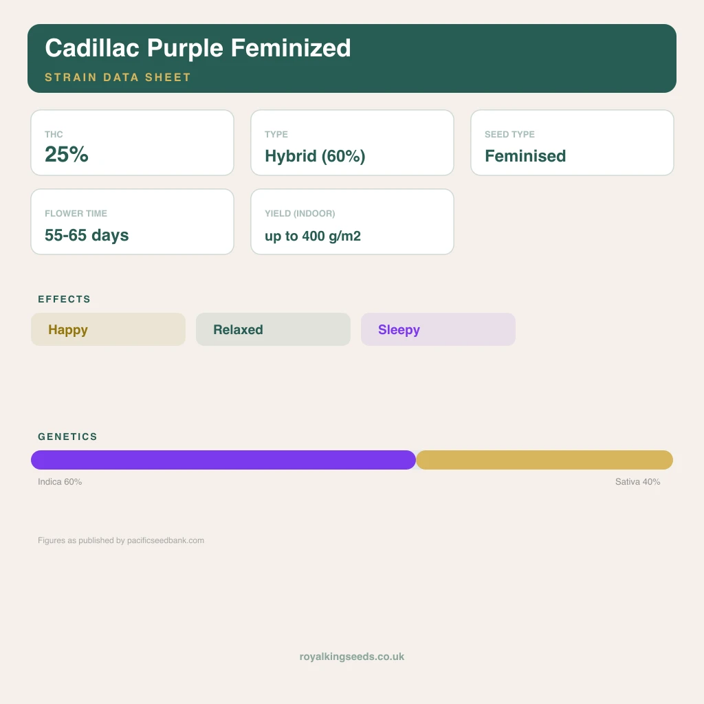 Cadillac Purple 60% indica / 40% sativa flower with visible trichomes