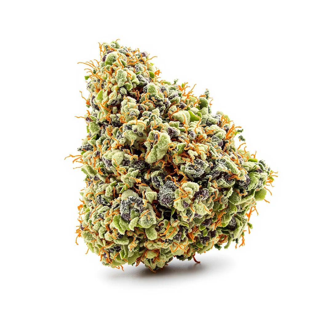 Cadillac Purple cannabis plant in flowering stage — 120-180 cm feminised
