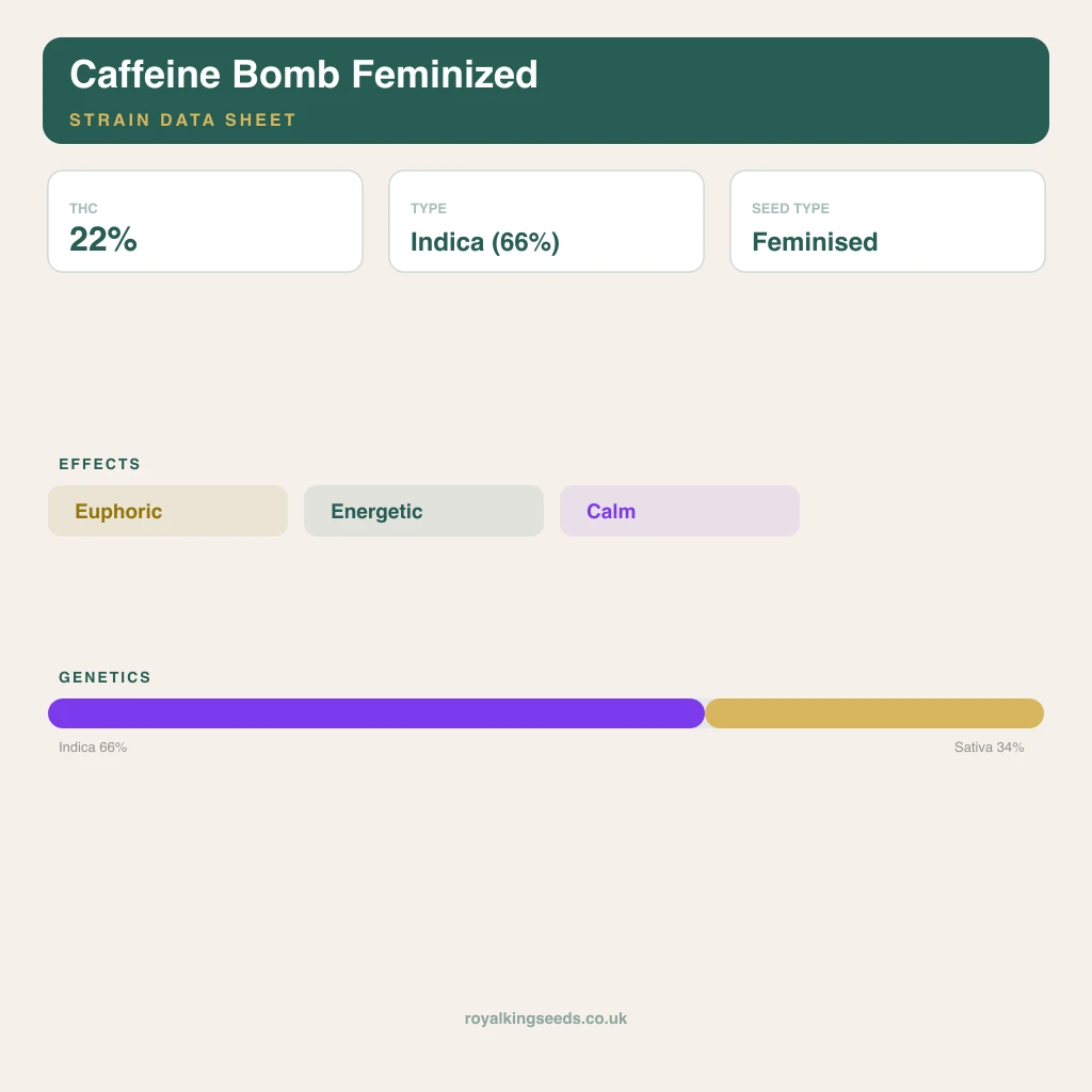 Caffeine Bomb 66% indica / 34% sativa flower with visible trichomes