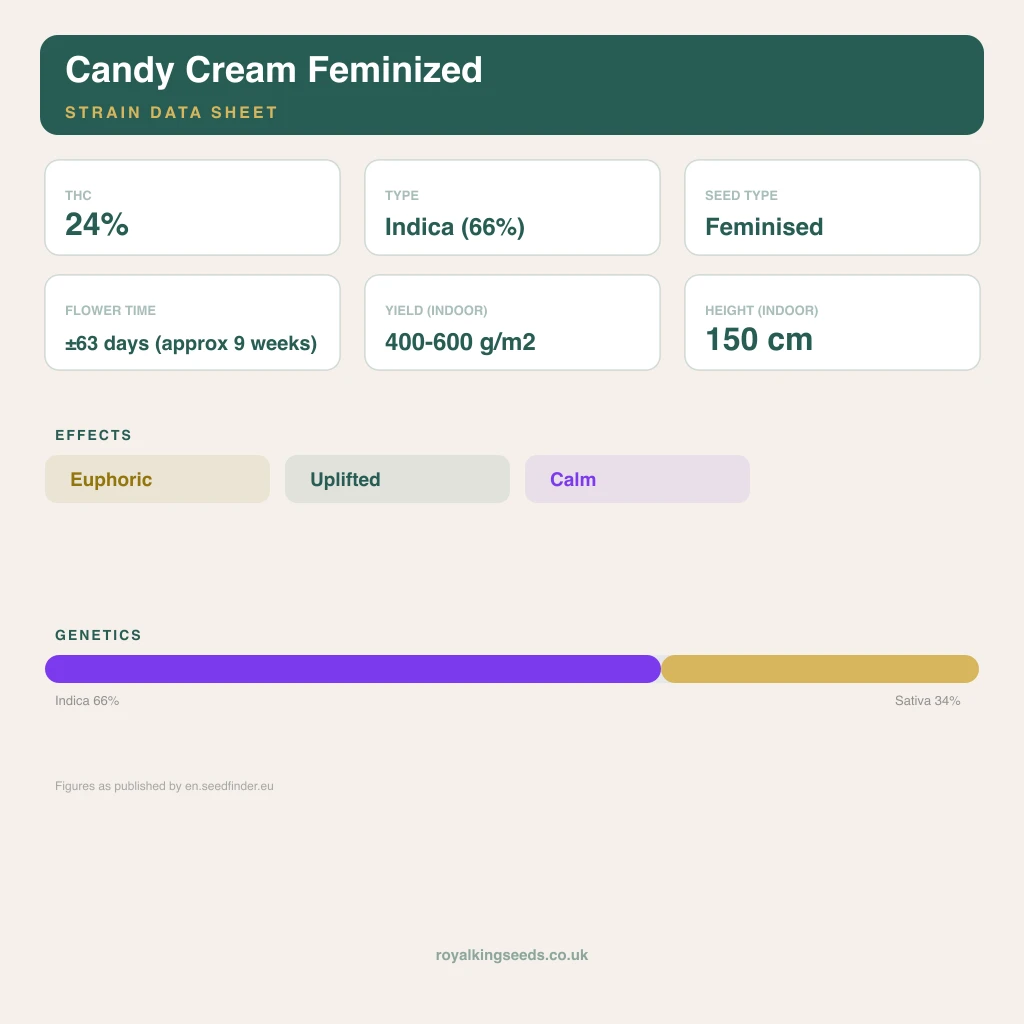 Candy Cream 66% indica / 34% sativa flower with visible trichomes