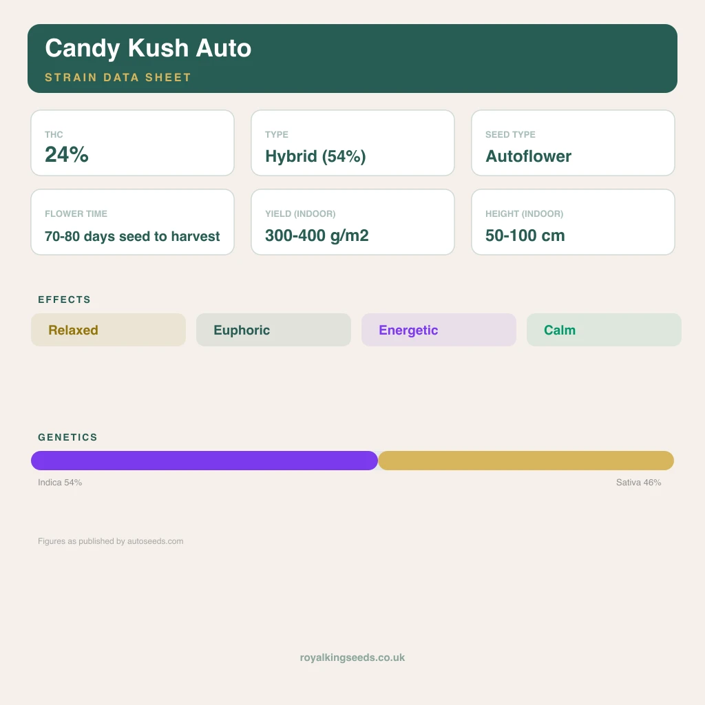 Candy Kush 54% indica / 46% sativa flower with visible trichomes