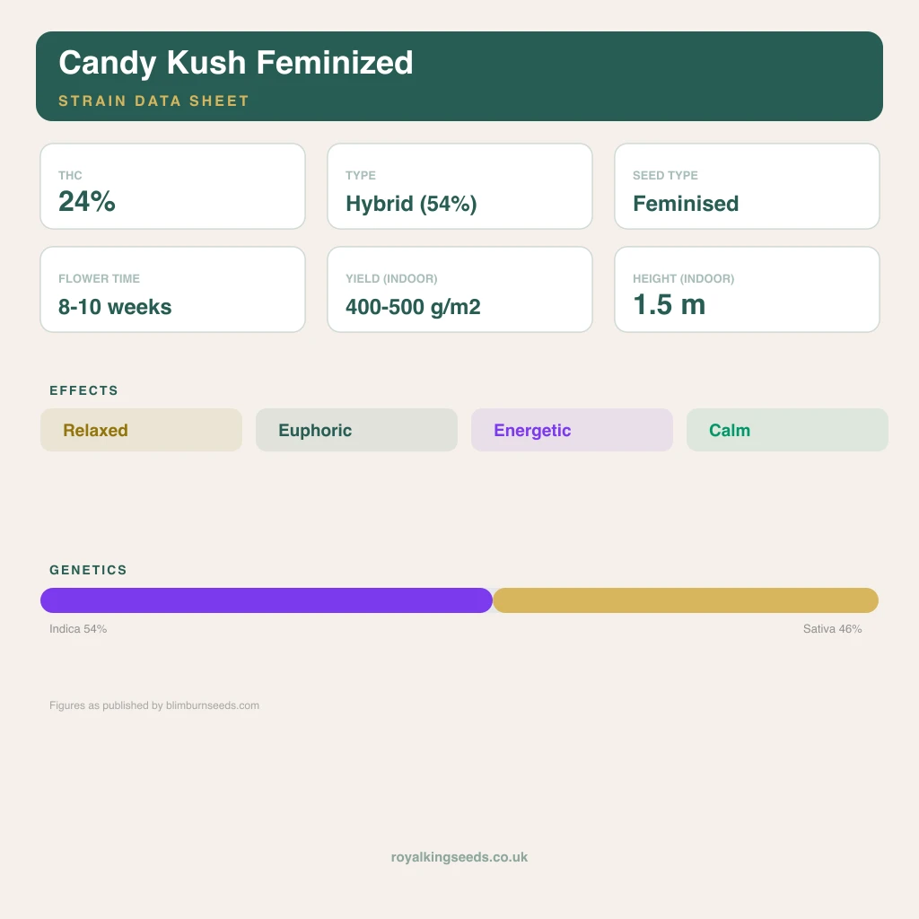 Candy Kush 54% indica / 46% sativa flower with visible trichomes