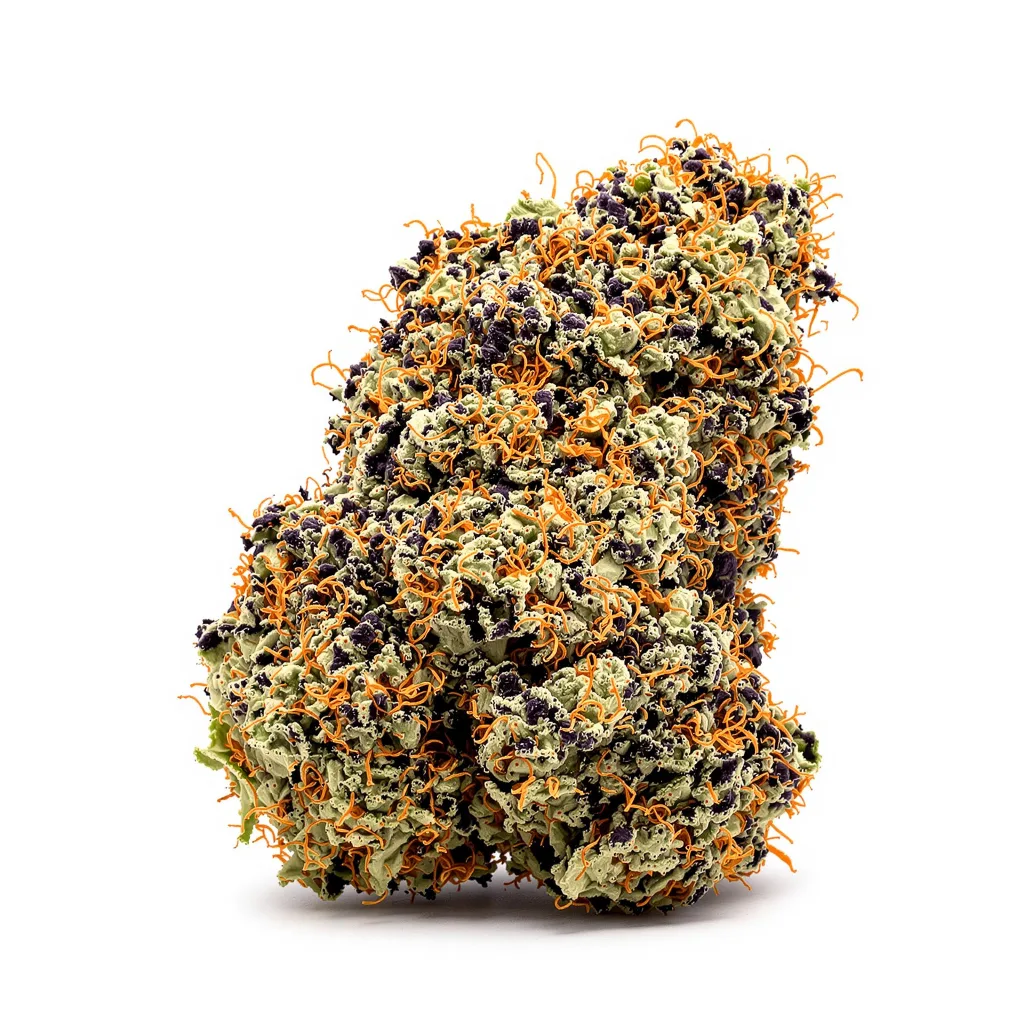 Casper OG cannabis plant in flowering stage — 60-100 cm autoflower