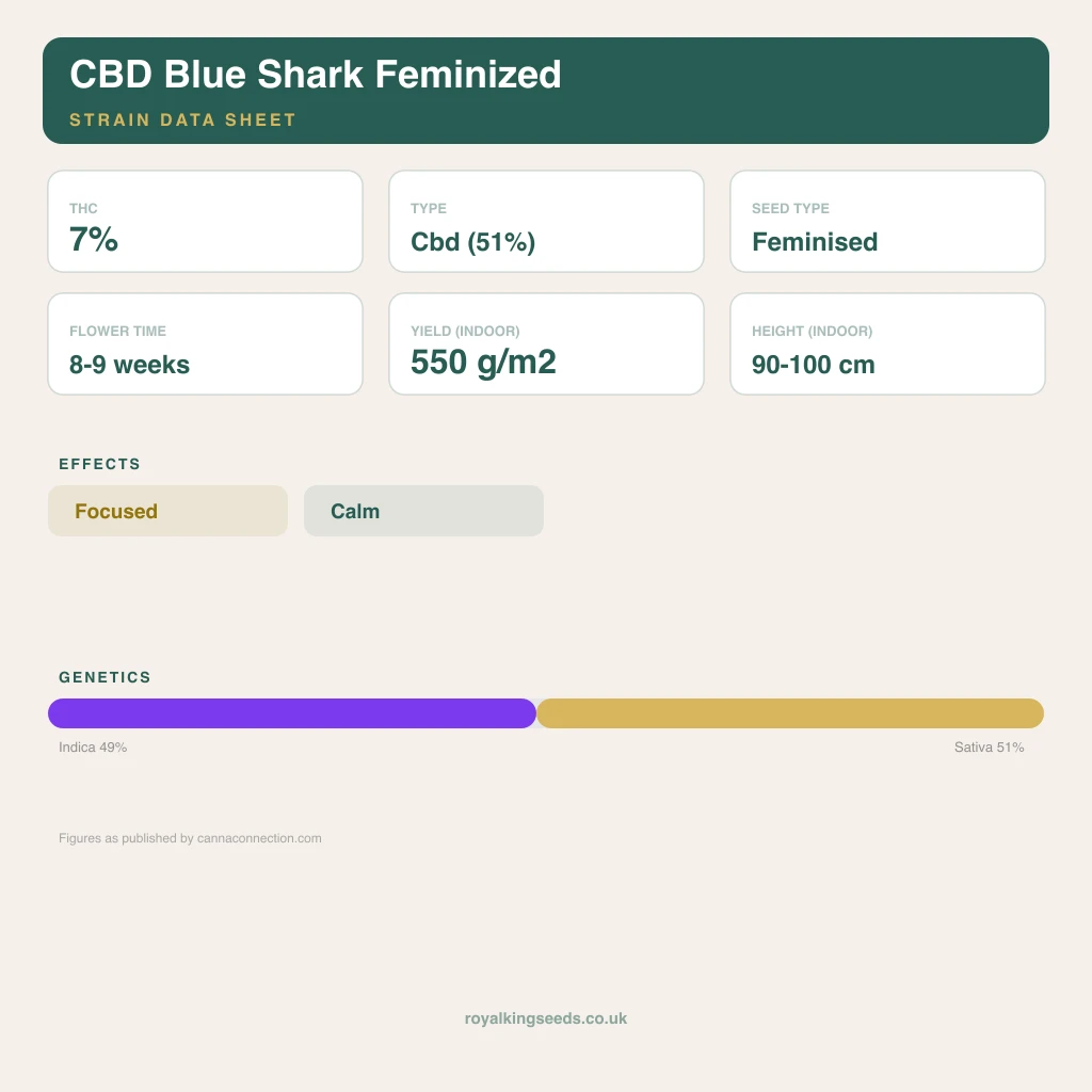 CBD Blue Shark 49% indica / 51% sativa flower with visible trichomes