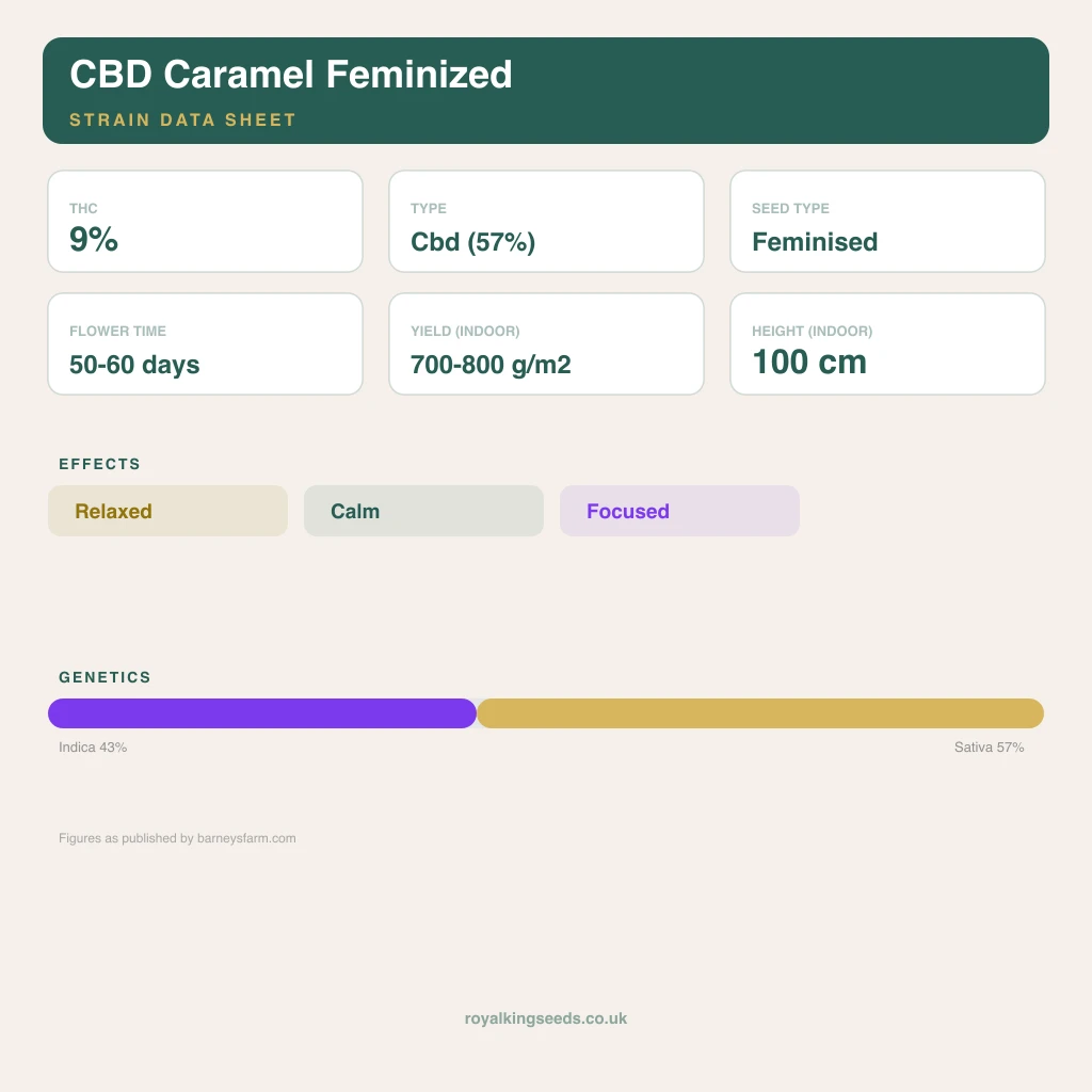 CBD Caramel 43% indica / 57% sativa flower with visible trichomes