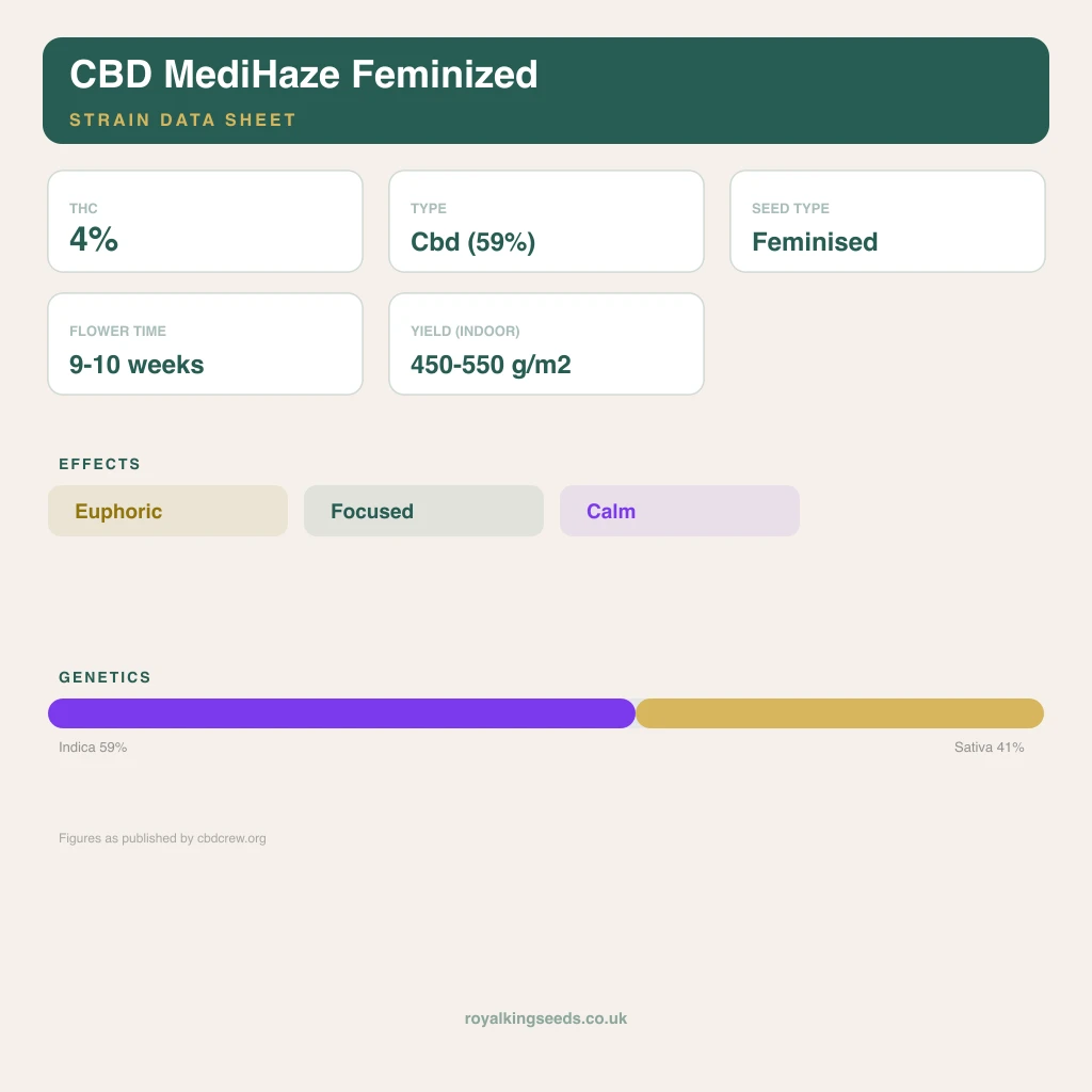 CBD MediHaze 59% indica / 41% sativa flower with visible trichomes