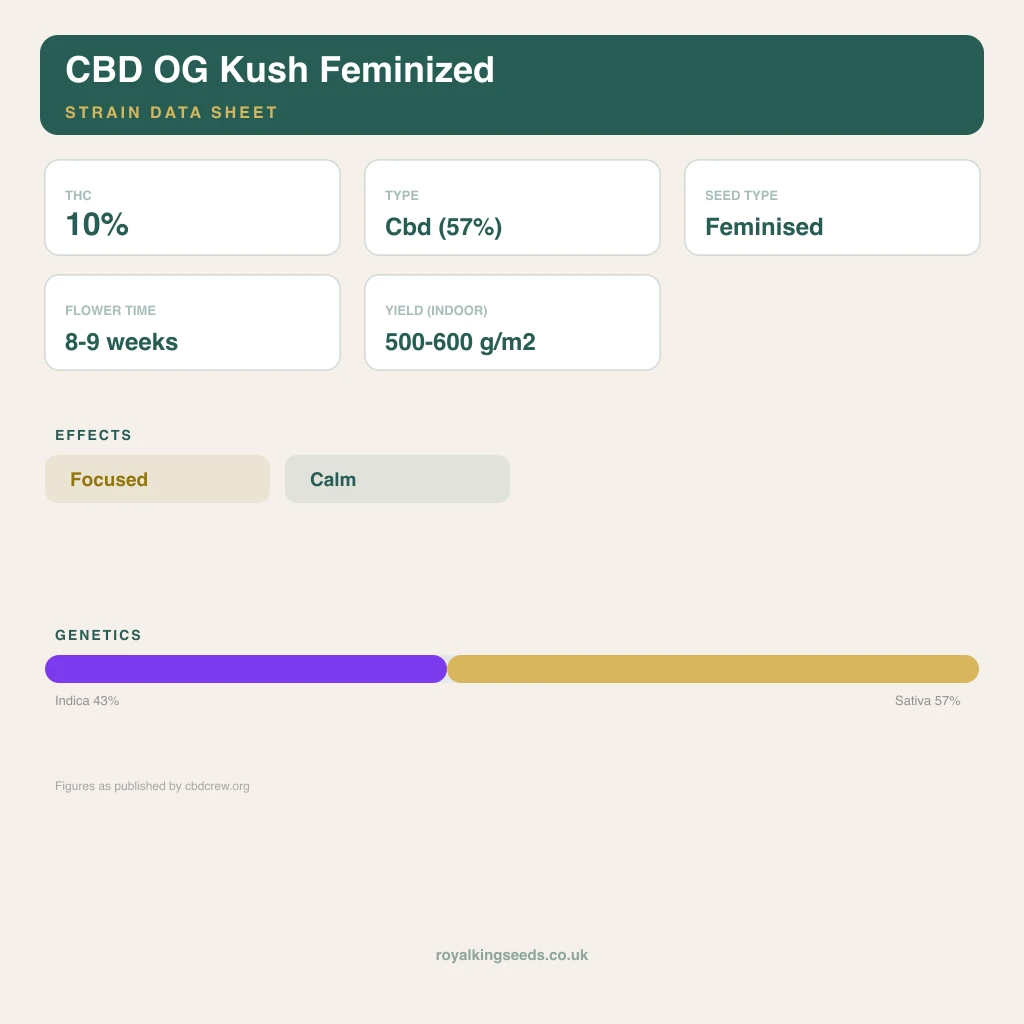 CBD OG Kush 43% indica / 57% sativa flower with visible trichomes