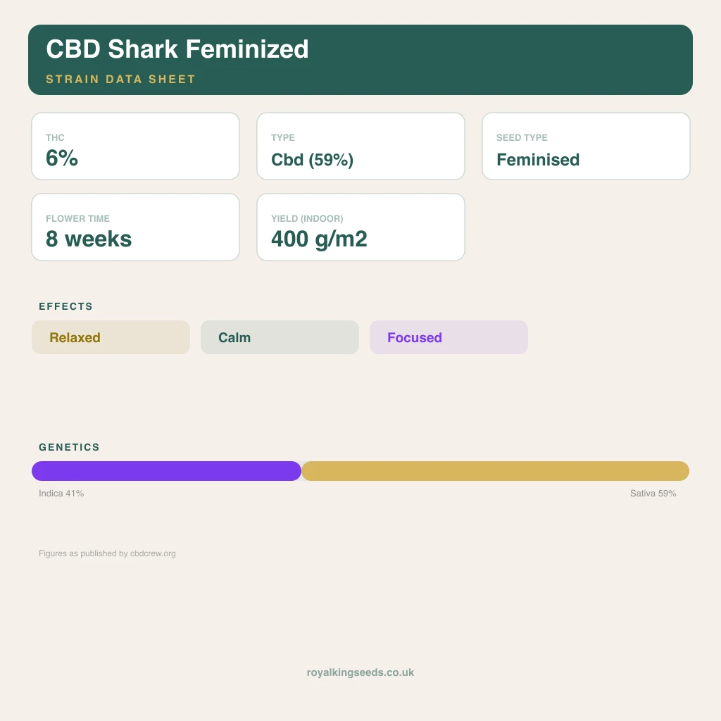 CBD Shark 41% indica / 59% sativa flower with visible trichomes
