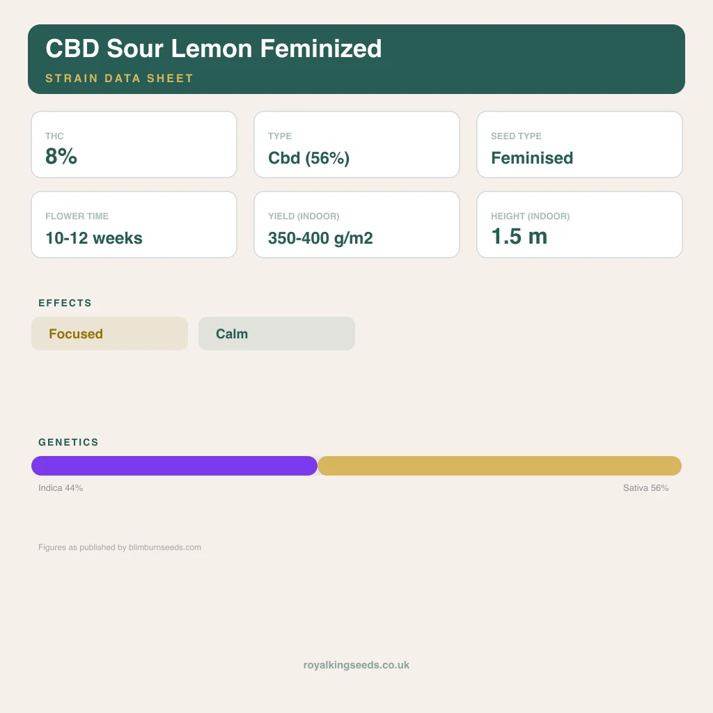 CBD Sour Lemon 44% indica / 56% sativa flower with visible trichomes